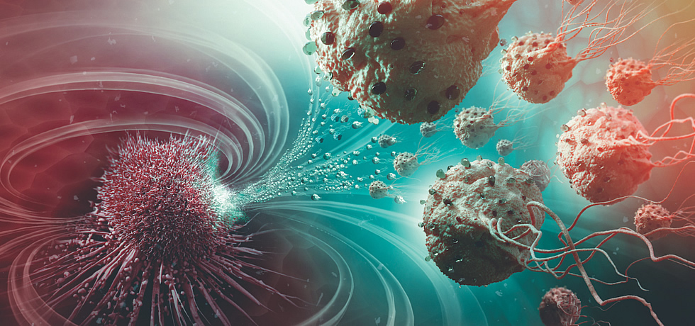 Магнетококки - еще одна маленькая победа в лечении онкозаболеваний | Magnetococcus marinus - another small victory in the treatment of cancer