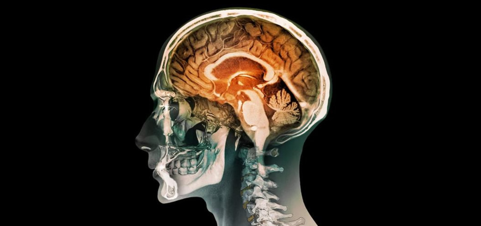 Оптогенетические методы лечения болезни Альцгеймера | Optogenetic methods of Alzheimer's disease treatment