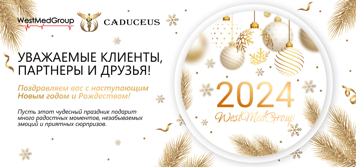 С наступающим 2024 годом и Рождеством!